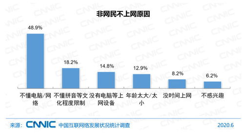 中國互聯(lián)網(wǎng)絡(luò)發(fā)展?fàn)顩r統(tǒng)計報告（2020年第46次） 網(wǎng)民規(guī)模、結(jié)構(gòu)狀況與計算機(jī)軟件數(shù)據(jù)處理服務(wù)分析